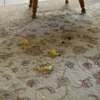 VesCo Residential Cleaning gallery
