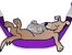 Nathalia Boarding Kennels & Cattery - Dog Boarding Kennels