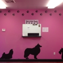 Rub-A-Dub Doggie Dog Grooming - Pet Services