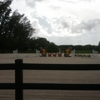 Staffordshire Equestrian Center Inc gallery