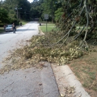 Lawrenceville Tree Experts