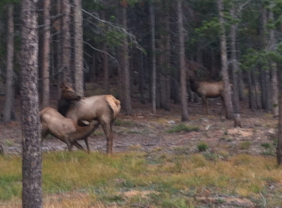 Wind River Ranch - Estes Park, CO