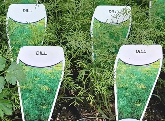 Colchester Nursery - Kilsyth South, VIC