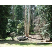 Gallery Image Number 8