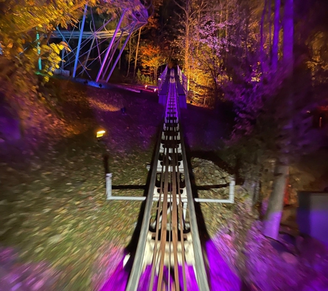 Rowdy Bear Mountain Coaster - Gatlinburg, TN