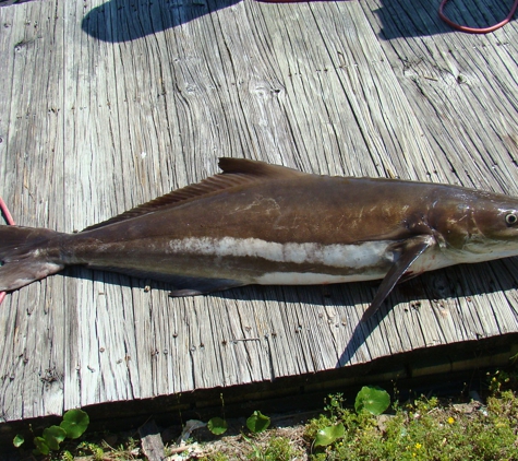 Mexico Beach Charters - Port Saint Joe, FL