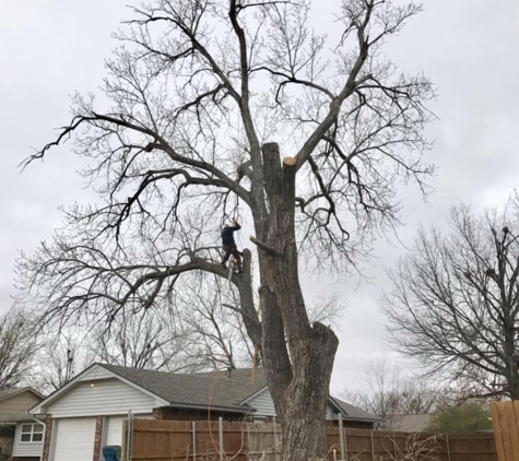 Out On A Limb Tree Service - Norman, OK