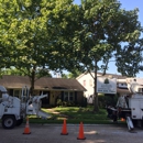 Louisiana Tree Company, LLC. - Arborists