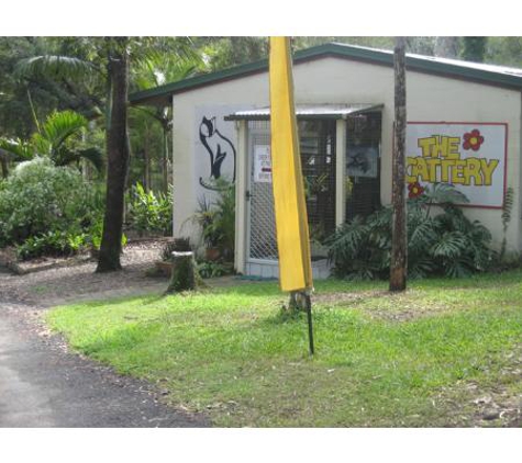 Noosa Pet Resort - Cooroibah, QLD