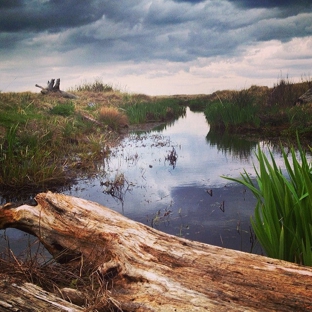 Ocean City State Park - Hoquiam, WA