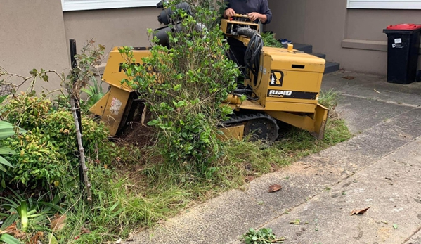 Harringtons Tree Services - Mount Evelyn, VIC