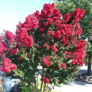 Gardner's Landscape Nursery - Chester Springs, PA