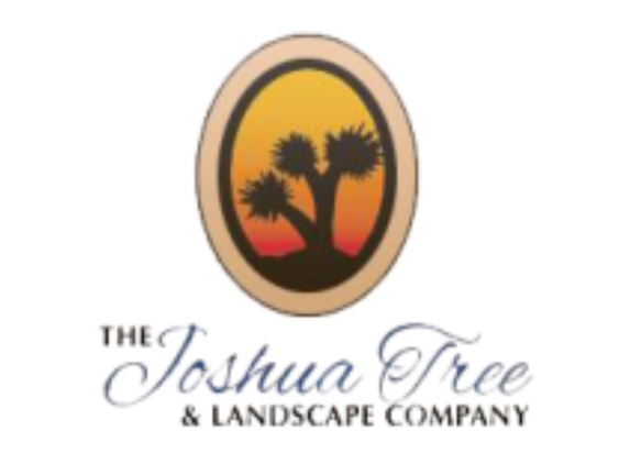 Joshua Tree & Landscape - Camp Verde, AZ