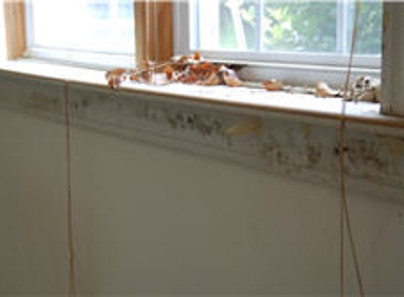 SC Mold Removal - Greenville, SC