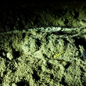 Gallery Image Number 8