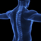 Lombardo Chiropractic Clinic