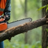 NE Tree and Property Service gallery