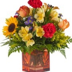 Royer's Flowers & Gifts