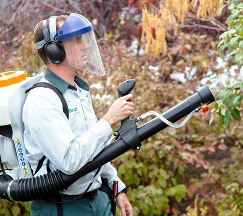 Edge Pest Control and Mosquito Services - Hubbard, OR