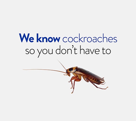 Termitrust Pest Control Experts - Kunda Park, QLD