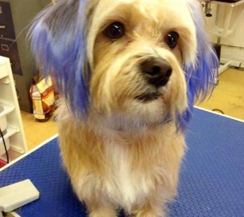 TLC Pet Shop & Grooming - Tustin, CA