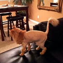 AT HOME PET GROOMING SERVICES LLC - Mobile Pet Grooming