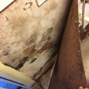 A Plus Mold Remediation Inc - Mold Remediation