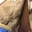 A Plus Mold Remediation Inc