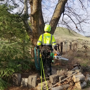 Supreme Tree Service - Pasco, WA