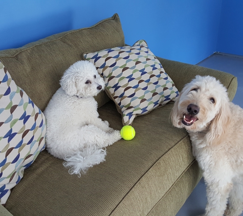 A Dog Hotel, StayOverRover - Jeffersonville, IN