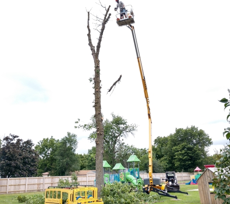 Triple S Tree Service LLC - Milford, IA. Making Safety a Priority