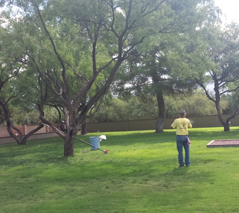 George's Tree Service