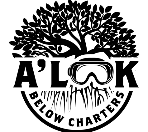 A' Look Below Charters - Homosassa, FL