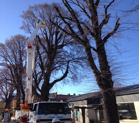 McMahon's Earthmoving & Tree Service - Jindabyne, NSW