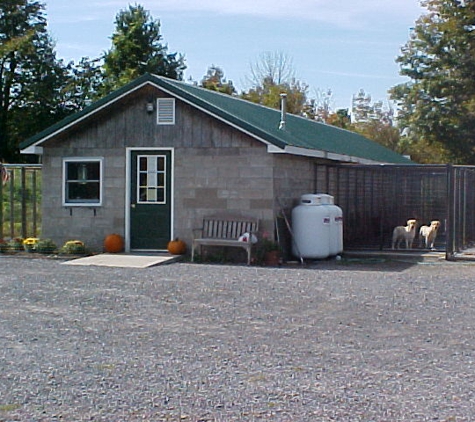 Weston Boarding Kennels - Westerlo, NY