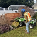 Blue Ox Stump Removal - Tree Service