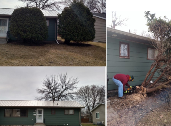 Crosshair Construction LLC. - Moorhead, MN. Tree Removal