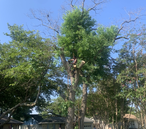 Texas Treehouse Tree Service & Stump Grinding - Mesquite, TX. Tree Removal & Stump Grinding In Mesquite,Tx