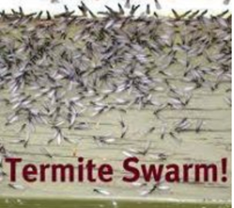 Best Termite & Pest Control, Inc