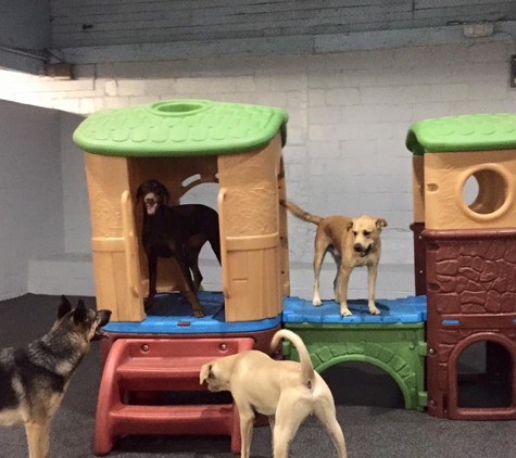 2nd Home Pet Resort - Columbus, GA