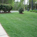 Ultimate Finish Lawn and Landscape - Tree Service