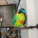 Pueblo Querido Coffee - Coffee & Tea