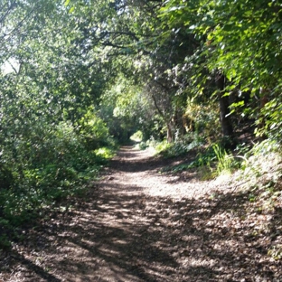 Ed Levin County Park - Milpitas, CA