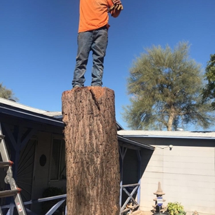 Goodyear Tree Service - Goodyear, AZ