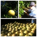 Mccracken Farms - Fruit & Vegetable Markets