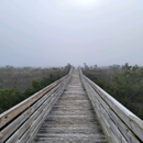 Grand Isle State Park - Parks
