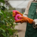 Kennedy Pest Control - Pest Control Equipment & Supplies