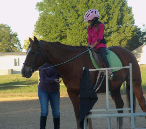 Sarah's Horse and Pet Services - Stokesdale, NC