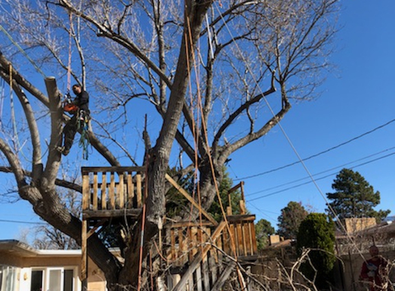 B&G Tree Trimming - Albuquerque, NM