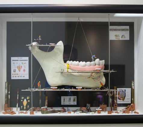 Sundial Dental Port Macquarie - Port Macquarie, NSW. Understanding Dentistry Is A Team Effort With You The Patient At The Head Of The Team.